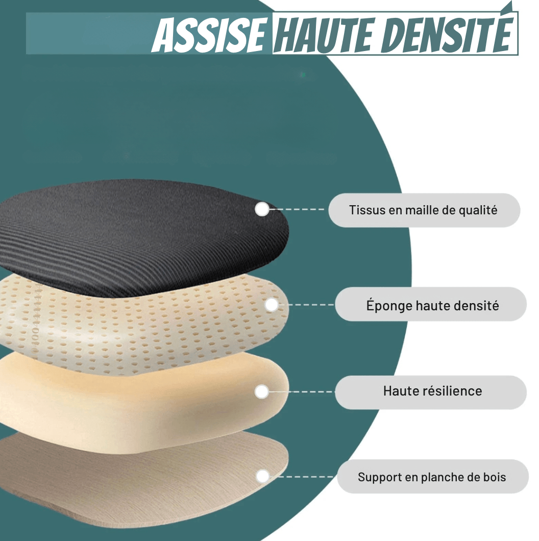 Chaise de bureau ergonomique en maille