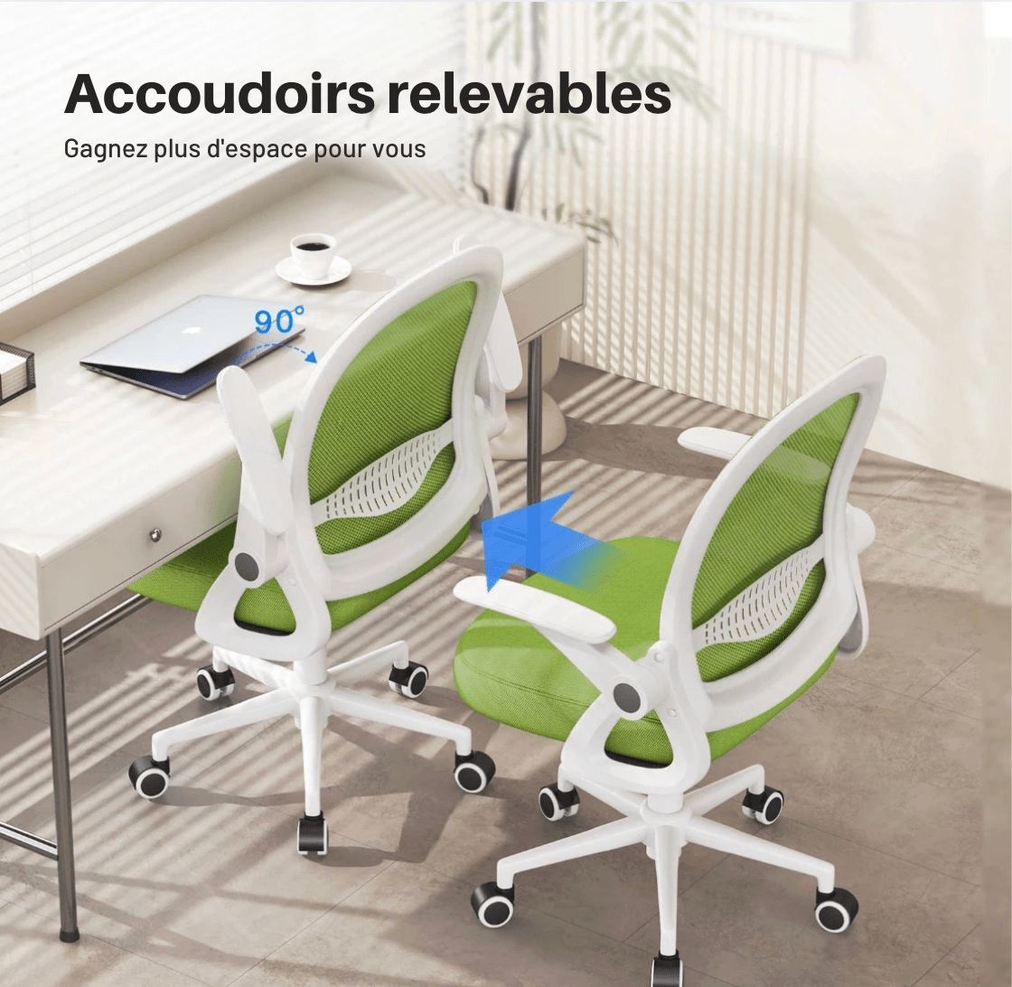 Chaise de bureau professionnel à roulette