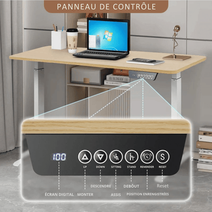 Bureau assis debout professionnel