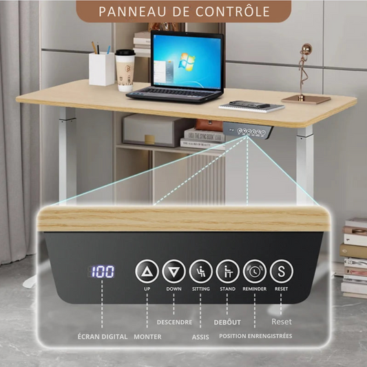 Bureau assis debout professionnel