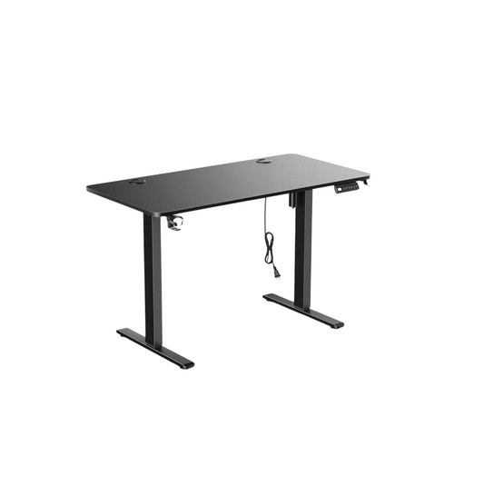 Bureau assis debout professionnel