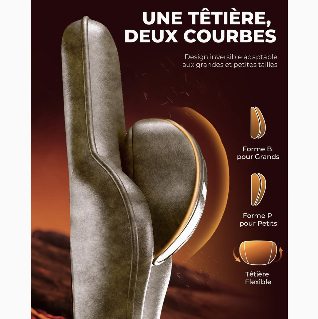 Têtière réversible à deux courbes